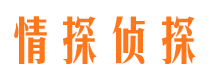 市中侦探公司